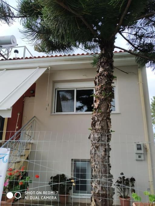 Grecos Apartment Preveza Eksteriør bilde